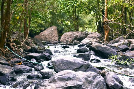 a rocky river bed in the middle of the forestの写真素材
