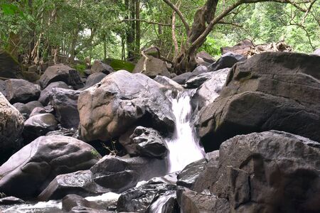 water falling between the rocks in a dense forestの写真素材