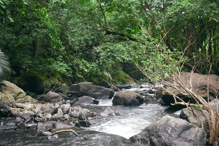 river flowing downhill between the trees in goaの写真素材