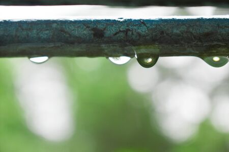 closeup image of a water droplet with a bokeh effect with green backgroundの写真素材