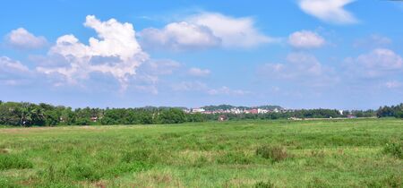 Landscape image of a meadow with beautiful blue sky with clouds in Indiaの写真素材