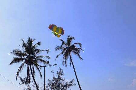 paragliding between two palm trees in goaの写真素材
