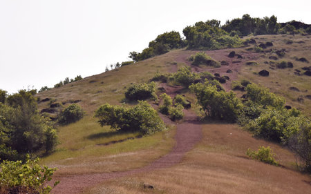 a small trail leading to the top ,near Chapora Fort