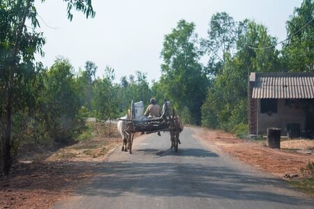 Image of a Bullock cart moving in a road captured from behind.の写真素材