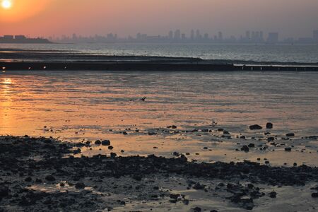 A beautiful orange reflection in the ocean water captured during sunset.の写真素材