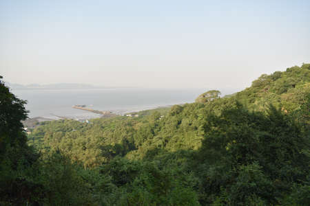 Green trees in a island captured with a ocean beside it.の写真素材