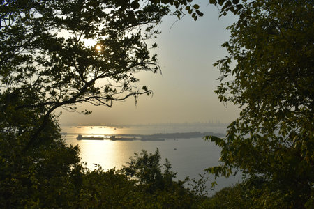 sun rays reflected on a ocean during sunset with silhouette foreground trees