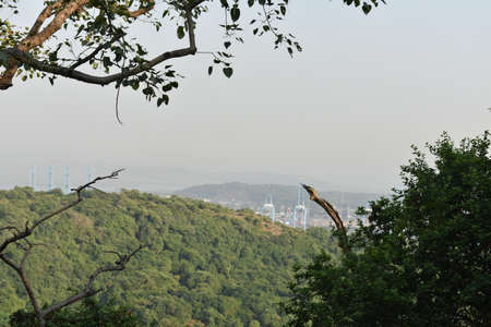 view of the edge of an island from the topの写真素材