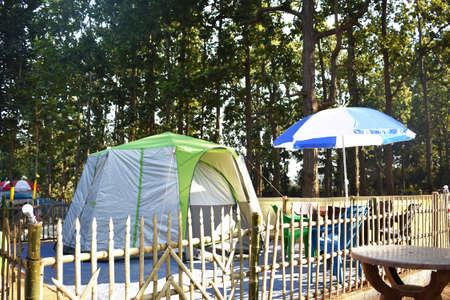 Green tent in a resort between a forest with green trees in the surroundingsの写真素材