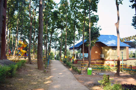 Beautiful resort surrounded by green trees and natural houseの写真素材