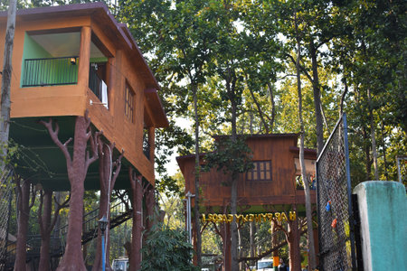 Tree houses between a deep forest with green surroundingsの写真素材