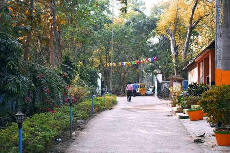 A path surrounded by yellowish reddish trees near a resortの写真素材
