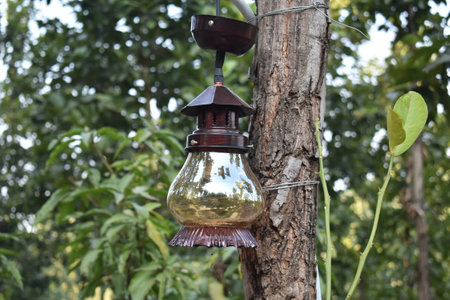 A old antique Indian lantern found in a forestの写真素材
