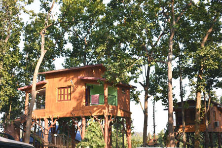a wooden tree house build in a resort surrounded by green treesの写真素材
