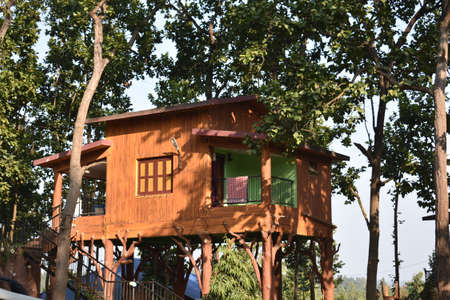 a wooden tree house in the middle of a forestの写真素材