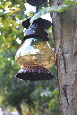 A old decorative lantern hung in a treeの写真素材