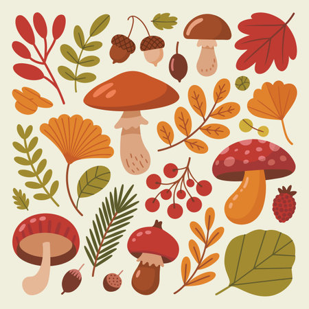 A flat design illustration of various autumn mushrooms, leaves, acorns, and berries.のイラスト素材