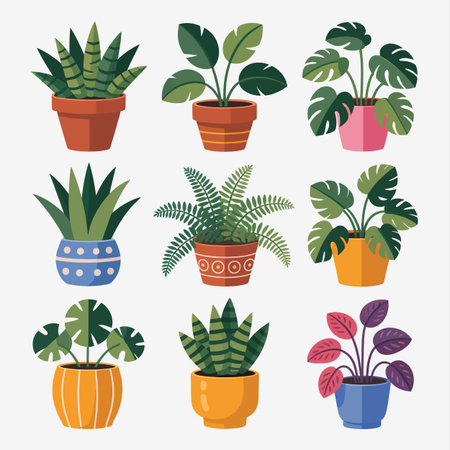 A curated selection of stylized potted houseplants in various decorative pots Scalable vector for...のイラスト素材