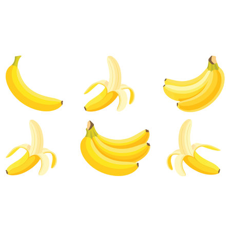 A collection of six yellow bananas, some whole, some peeled, and some in bunches. Scalable vector...のイラスト素材