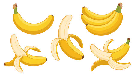 Set of ripe bananas on a white background. Vector illustration in cartoon style.のイラスト素材