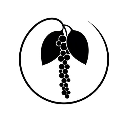 A black silhouette of a grape vine with leaves inside a circular border. Clear details and v...の写真素材