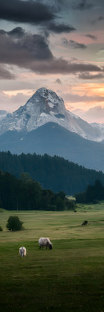 Two sheep graze in a lush green meadow with a majestic snow-capped mountain. Clear details and vi...の写真素材