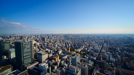 Vast Tokyo cityscape with numerous buildings stretching to the horizon under a clear blue sky.の写真素材