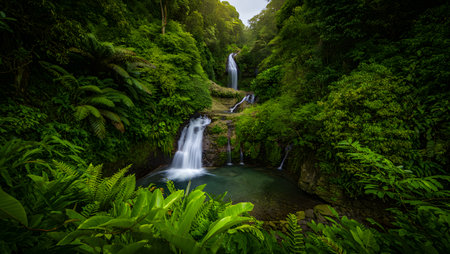 A vibrant green rainforest with multiple cascading waterfalls and lush foliage. Clear details and...の写真素材