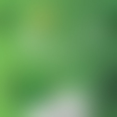 Smooth green and white soft focus gradient with subtle texture creates a calming background.の写真素材