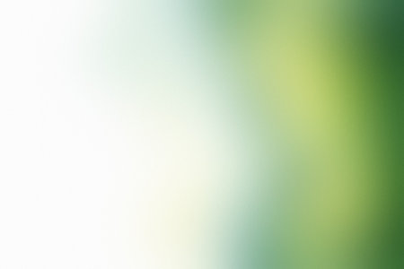 A blurred diagonal gradient transitioning from white to soft green hues. Clear details and vibran...の写真素材