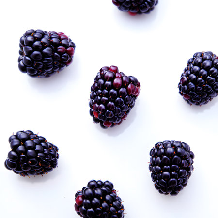 Several ripe blackberries are scattered across a clean white surface, casting soft shadows.