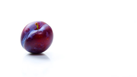 A single ripe dark plum with a small stem is isolated on a white background. Clear details and vi...の写真素材