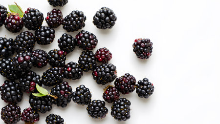 A scattering of ripe blackberries on a white background, offering ample copy space for design.の写真素材