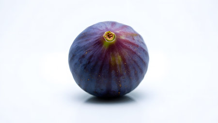 Background showing single ripe purple fig on white background. High resolution image suitable...