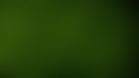 A deep green gradient with soft focus creates a textured, atmospheric background. Clear details a...の写真素材