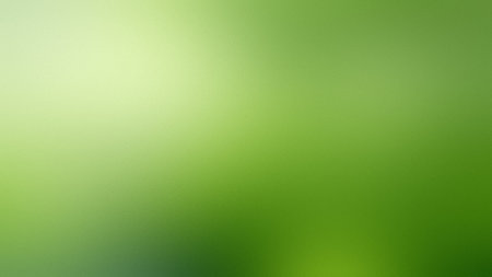 A soft green gradient background with a subtle texture and a bright light effect. Clear details a...の写真素材