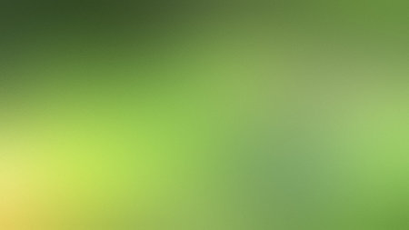 A vibrant green and yellow gradient with a frosted texture provides a lively backdrop.の写真素材