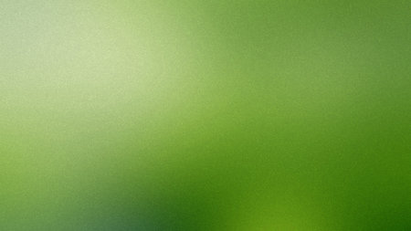 A soft green gradient background with a subtle grain texture and diffused light. Clear details an...