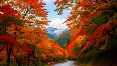 Vibrant autumn foliage frames a winding road through misty mountains under a clear skyの写真素材