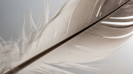Soft focus macro of a light brown and white feather, highlighting its delicate structure and...の写真素材