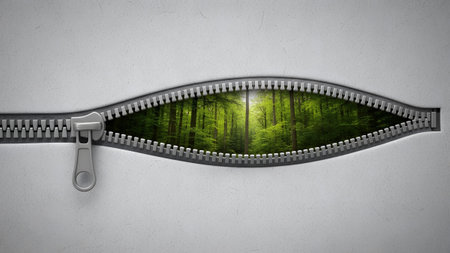 Green showing zipper opening to reveal a lush green forest with tall trees and dappled sunlight...の写真素材