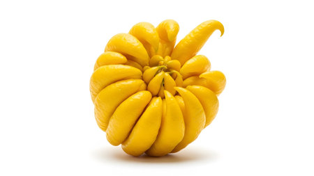 (108) showing buddhas hand citron fruit with yellow fingers and green tips isolated on white...