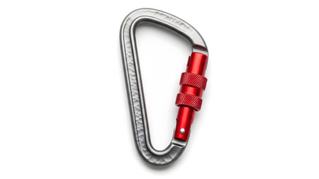A silver oval carabiner with a red screw lock mechanism and a textured body, presented on a...
