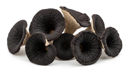 A collection of dark black trumpet mushrooms with visible ribbed undersides and light brown...の写真素材