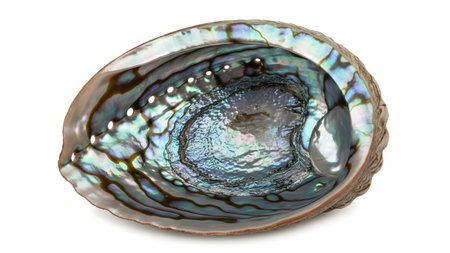 A close-up of a paua shell's interior reveals shimmering iridescent patterns in blues, greens,...