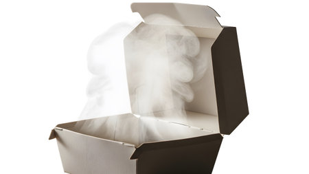 (1258).png showing open cardboard box releasing white steam on a transparent background.