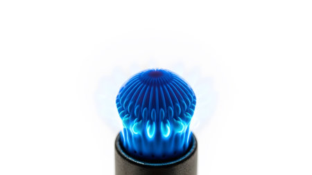 Flame showing blue flame on a gas burner with intricate pattern.