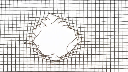 Stock showing close up of a damaged wire mesh with a large hole in the center. resolution...