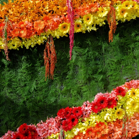 Beautiful flowers background for wedding sceneの写真素材