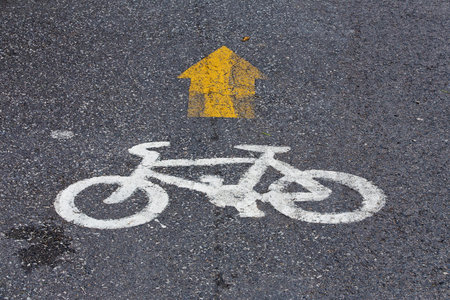 Bicycle lane in public park